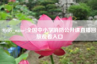 临清全国中小学消防公开课直播回放观看入口