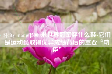 临清5000米世界冠军穿什么鞋-它们是运动员取得优异成绩背后的重要“功臣”