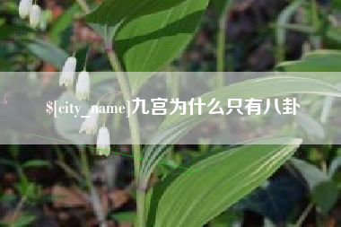 临清九宫为什么只有八卦