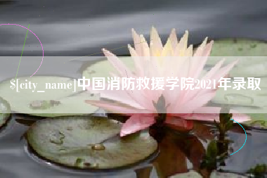 临清中国消防救援学院2021年录取