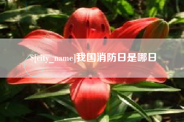 临清我国消防日是哪日
