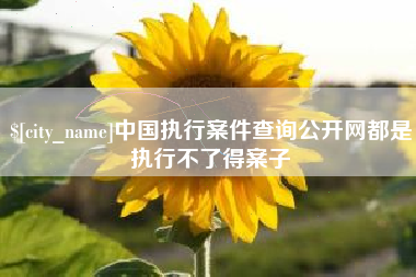临清中国执行案件查询公开网都是执行不了得案子