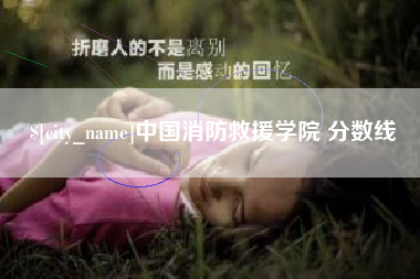 临清中国消防救援学院 分数线