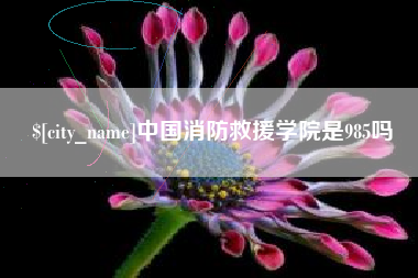 临清中国消防救援学院是985吗