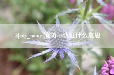 临清消防ccc认证什么意思