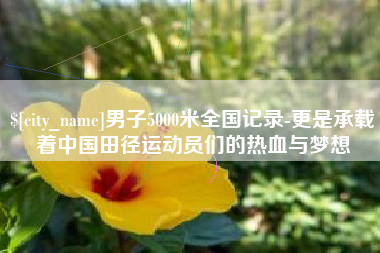临清男子5000米全国记录-更是承载着中国田径运动员们的热血与梦想