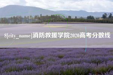 临清消防救援学院2020高考分数线