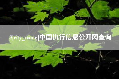 临清中国执行信息公开网查询