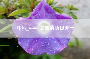 临清全国消防日哪一