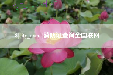 临清消防证查询全国联网