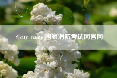 临清国家消防考试网官网