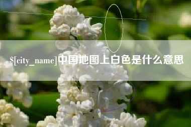 临清中国地图上白色是什么意思