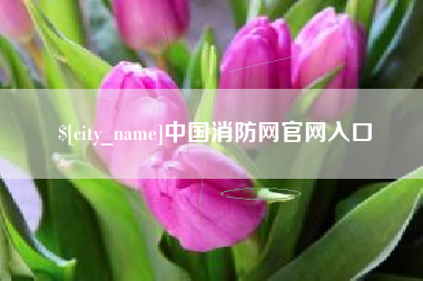 临清中国消防网官网入口