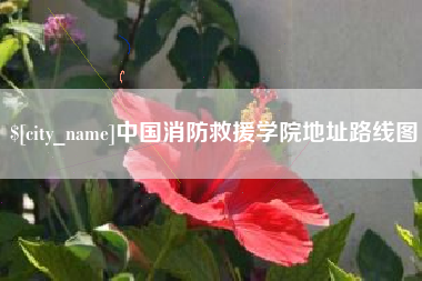 临清中国消防救援学院地址路线图