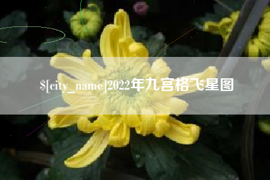 临清2022年九宫格飞星图