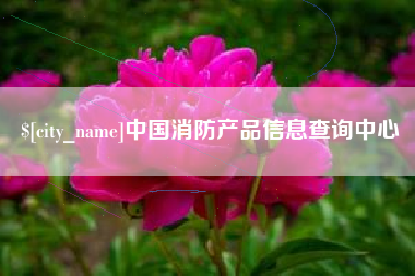临清中国消防产品信息查询中心