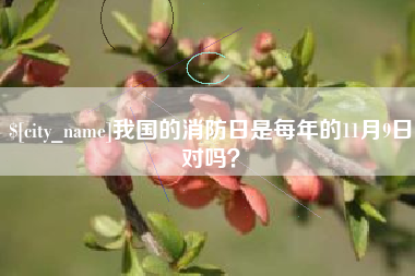 临清我国的消防日是每年的11月9日对吗？
