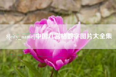 临清中国九宫格数字图片大全集