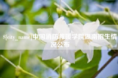 临清中国消防救援学院湖南招生情况公布