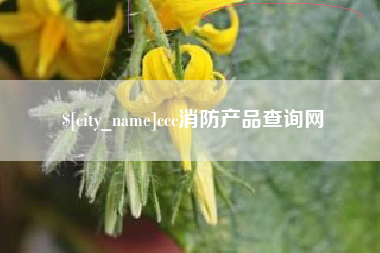临清ccc消防产品查询网