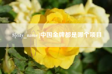 临清中国金牌都是哪个项目
