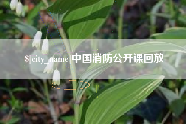 临清中国消防公开课回放