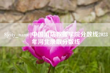 临清中国消防救援学院分数线2023年河北录取分数线