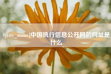 临清中国执行信息公开网的网址是什么