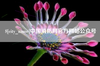 临清中国消防网官方网站公众号