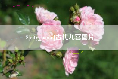 临清古代九宫图片