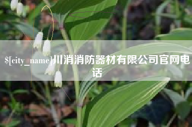 临清川消消防器材有限公司官网电话