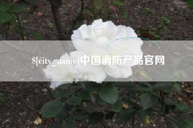 临清中国消防产品官网