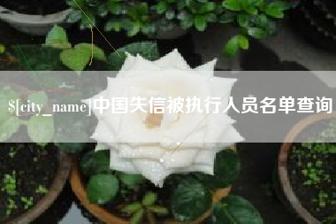 临清中国失信被执行人员名单查询