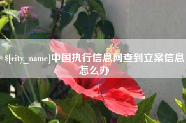 临清中国执行信息网查到立案信息怎么办
