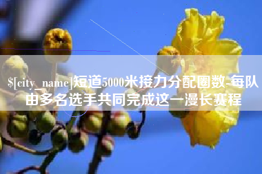 临清短道5000米接力分配圈数-每队由多名选手共同完成这一漫长赛程