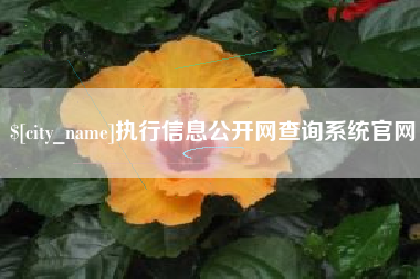 临清执行信息公开网查询系统官网