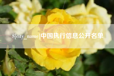 临清中国执行信息公开名单