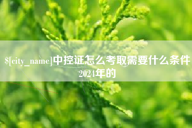 临清中控证怎么考取需要什么条件2024年的