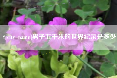 临清男子五千米的世界纪录是多少