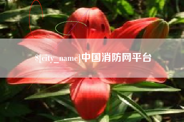 临清中国消防网平台