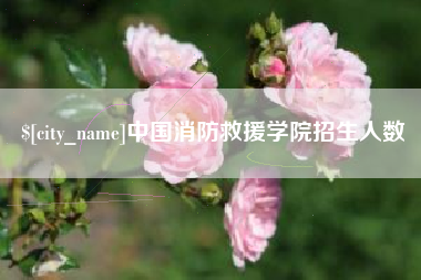 临清中国消防救援学院招生人数