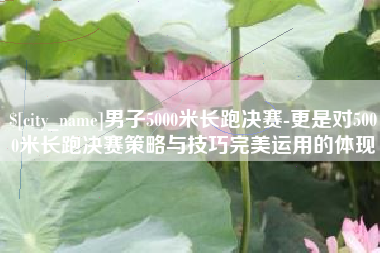 临清男子5000米长跑决赛-更是对5000米长跑决赛策略与技巧完美运用的体现