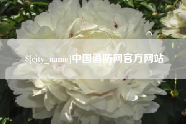 临清中国消防网官方网站