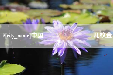 临清中国🇨🇳几枚金牌