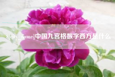临清中国九宫格数字西方是什么