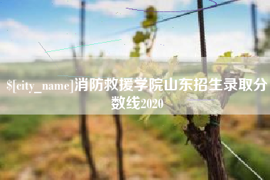 临清消防救援学院山东招生录取分数线2020