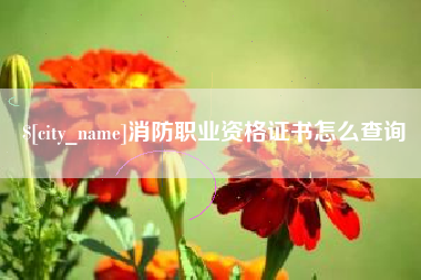 临清消防职业资格证书怎么查询