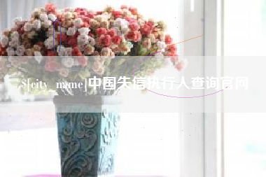 临清中国失信执行人查询官网