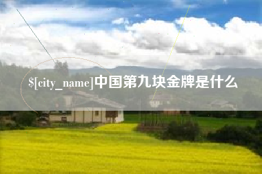 临清中国第九块金牌是什么