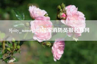 临清2021国家消防员报名官网